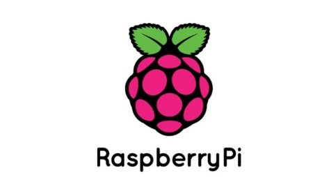 02 Raspi Logo